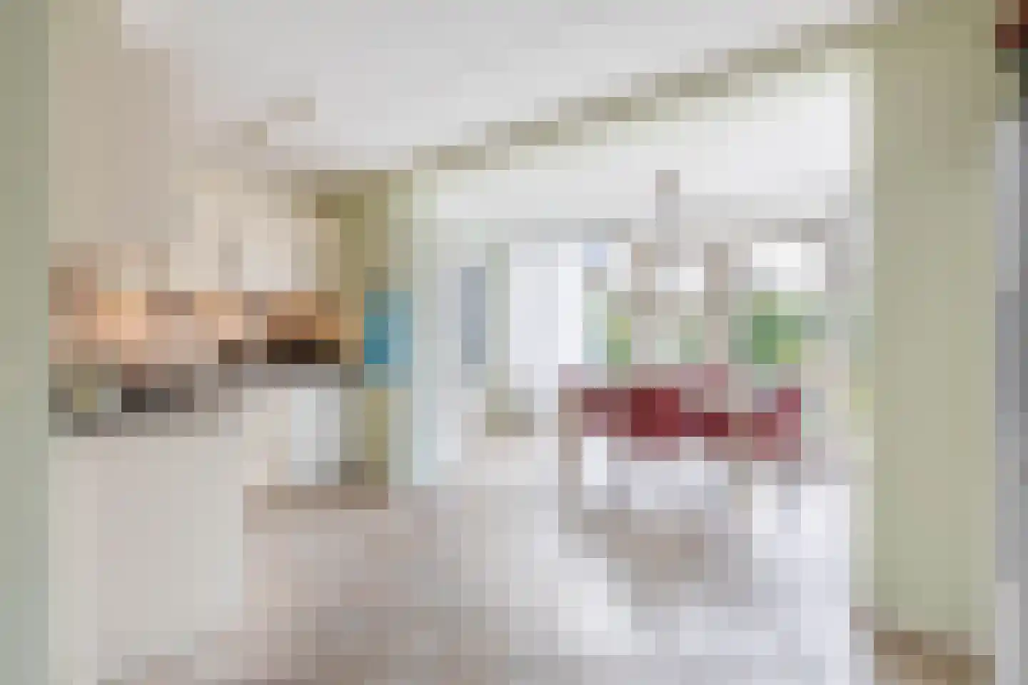 De Dreef 2 Schagen foto 2