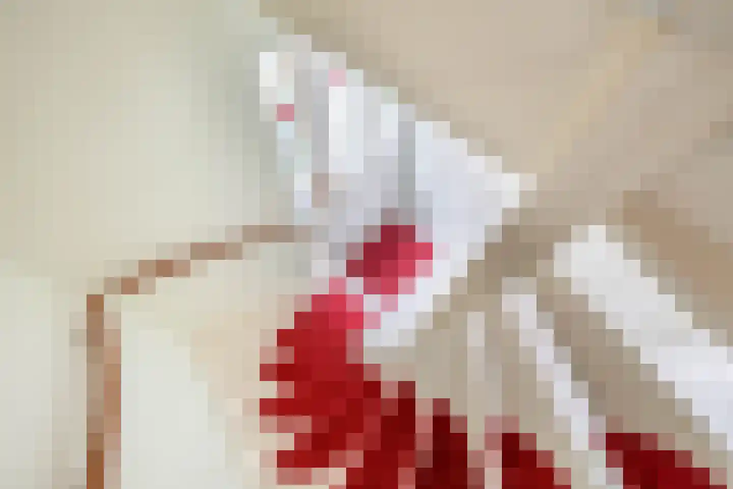 De Dreef 2 Schagen thumbnail 20