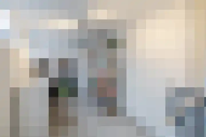 De Dreef 21 Stadskanaal thumbnail 15
