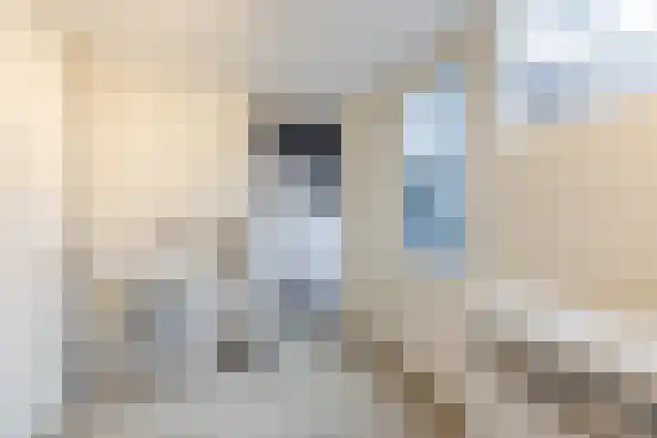 De Dreef 21 Stadskanaal thumbnail 16