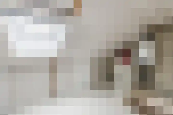 De Dreef 21 Stadskanaal thumbnail 30