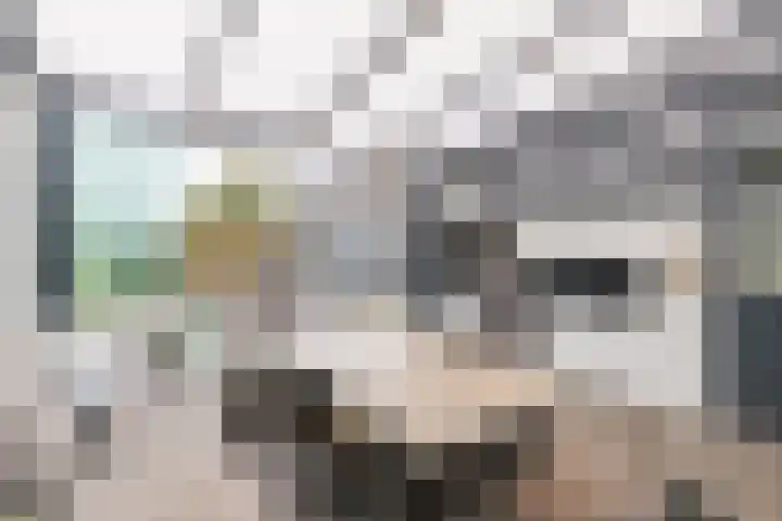 De Dreef 21 Stadskanaal thumbnail 32