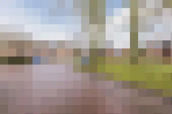 De Dreef 21 Stadskanaal thumbnail 39