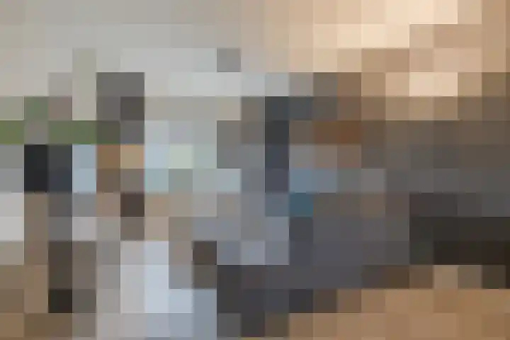 De Dreef 21 Stadskanaal thumbnail 8