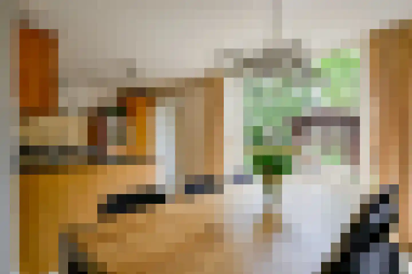 De Dreef 26 Schagen thumbnail 10