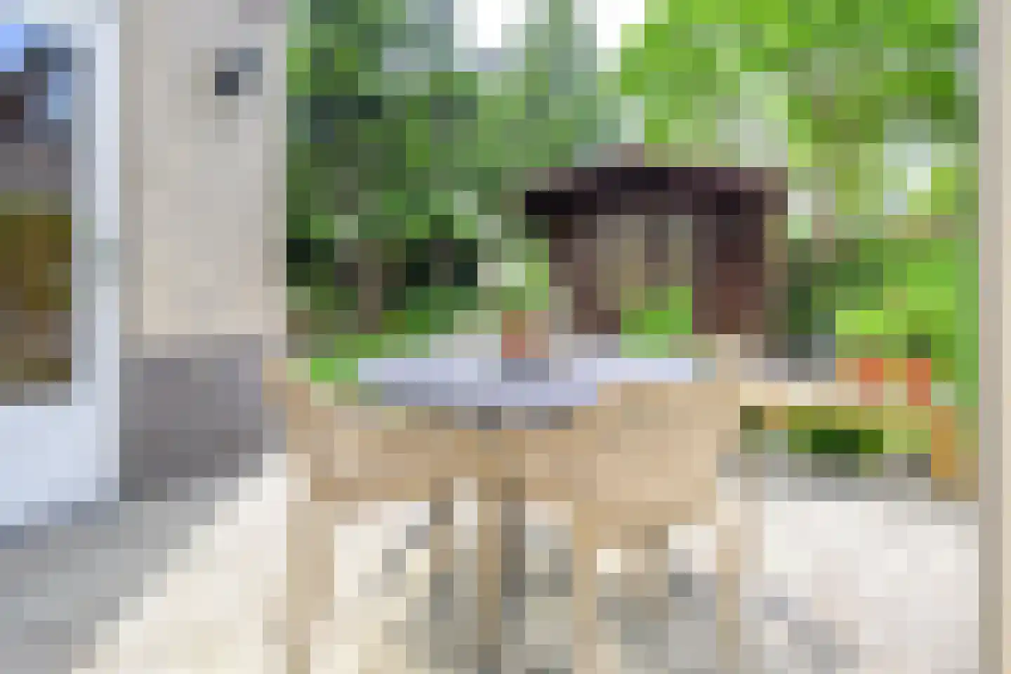 De Dreef 26 Schagen thumbnail 16