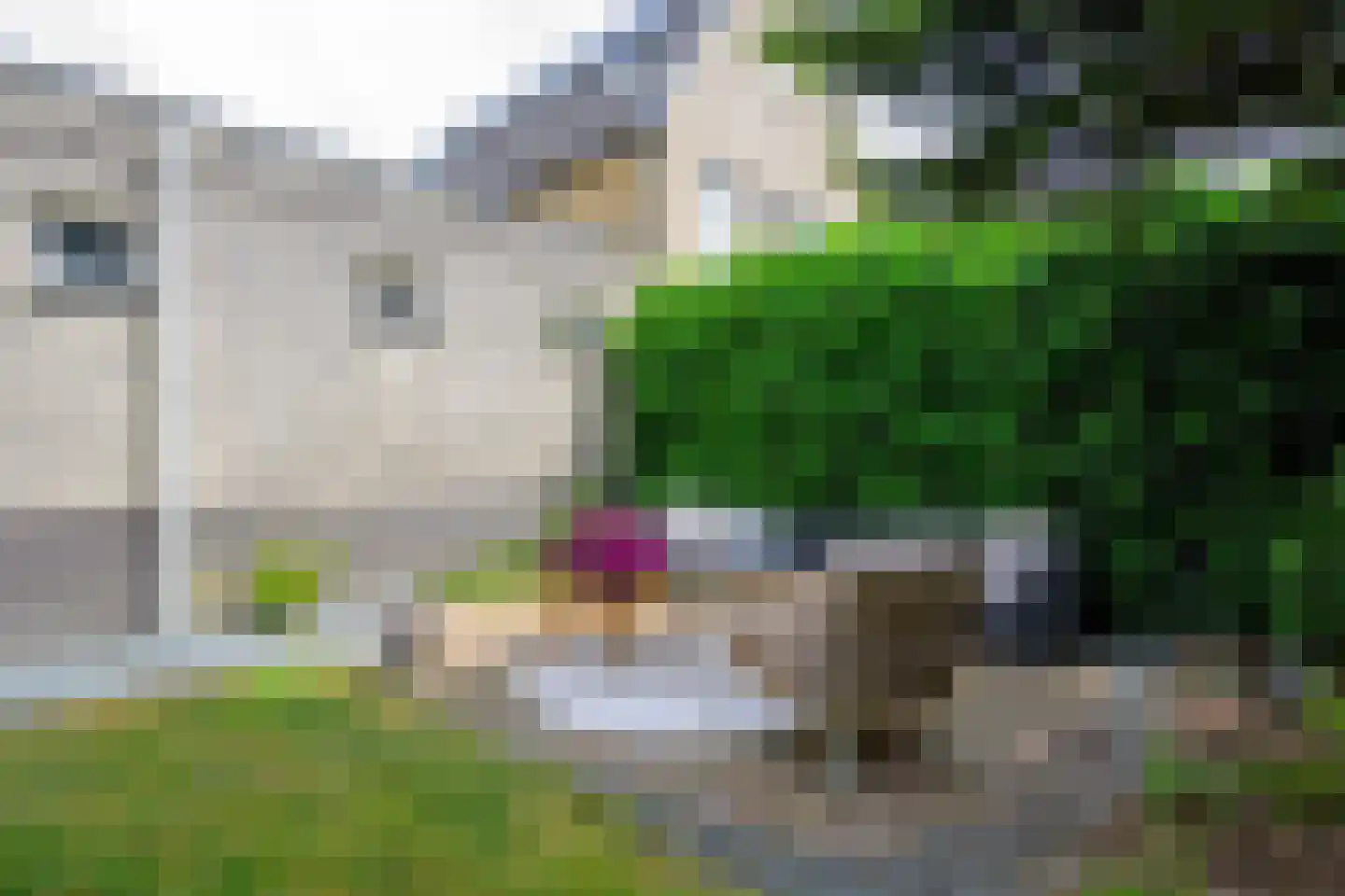 De Dreef 26 Schagen thumbnail 20