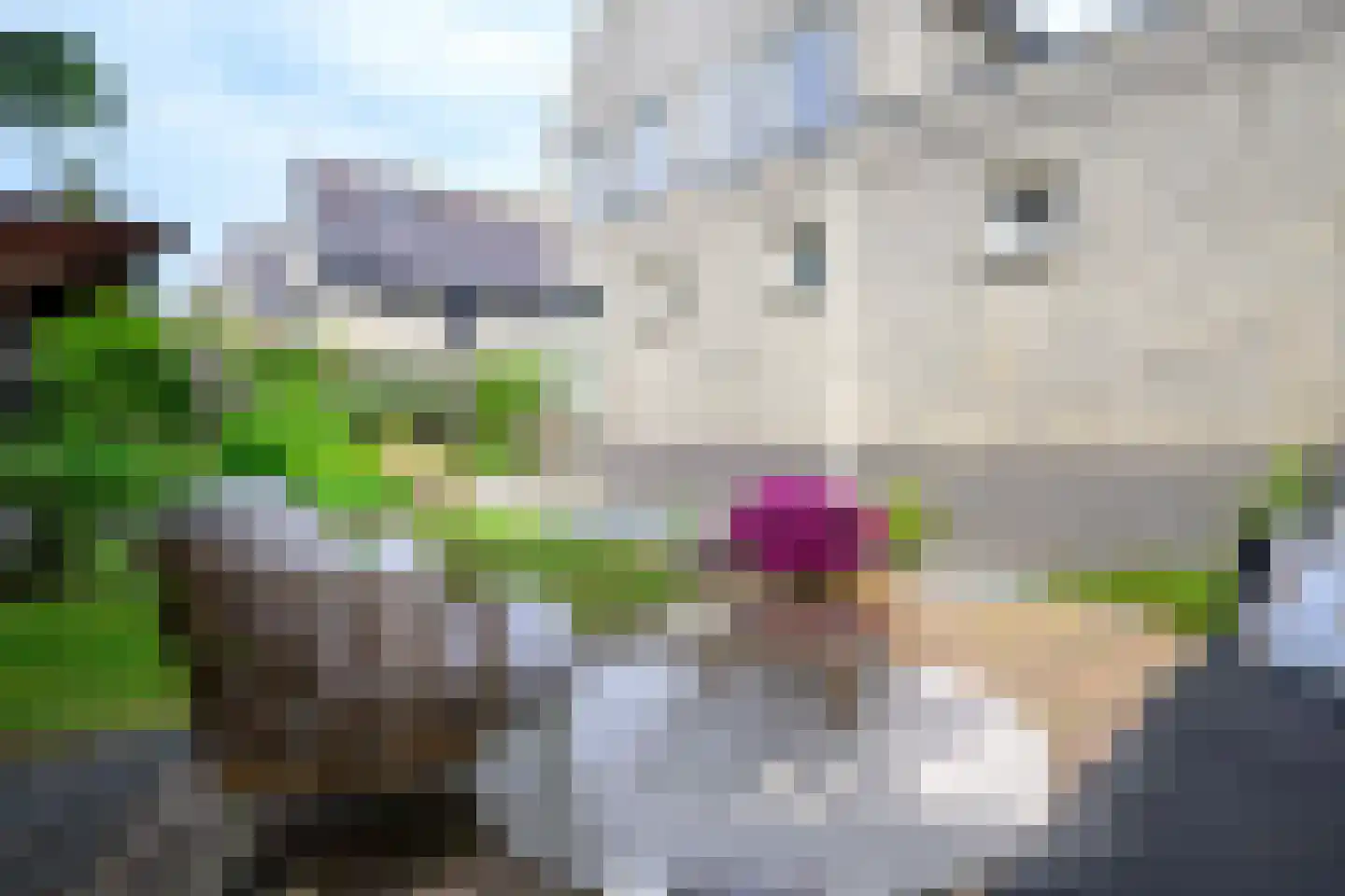 De Dreef 26 Schagen thumbnail 21