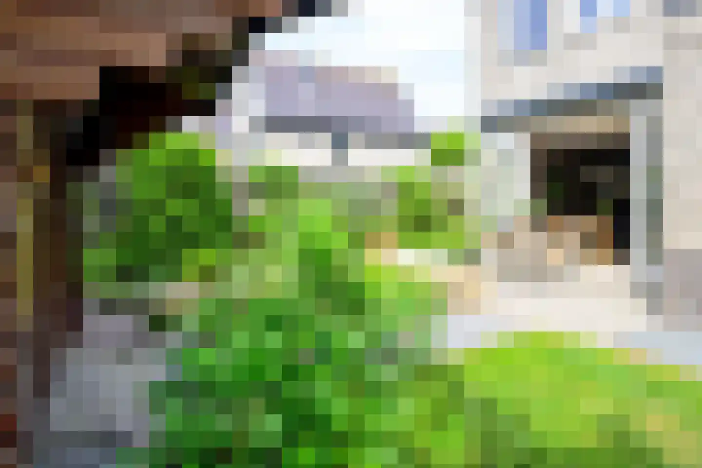 De Dreef 26 Schagen thumbnail 22