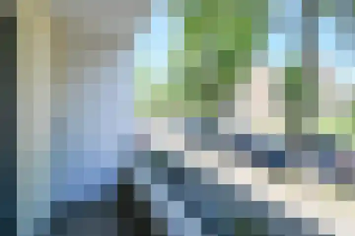 De Dreef 29 Den Haag thumbnail 12