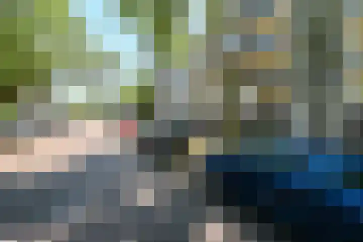 De Dreef 29 Den Haag thumbnail 21