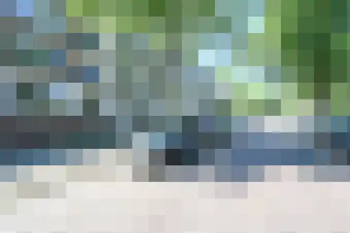 De Dreef 29 Den Haag thumbnail 22