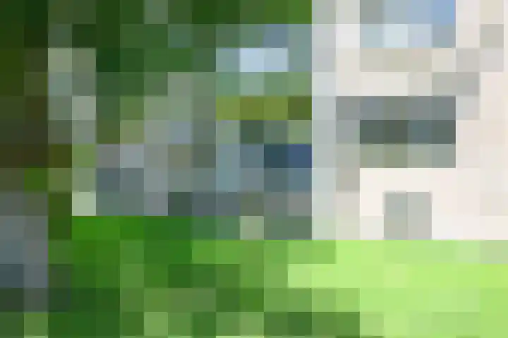 De Dreef 29 Den Haag thumbnail 23