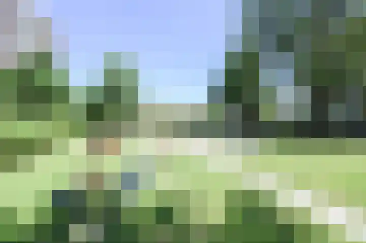De Dreef 29 Den Haag thumbnail 24