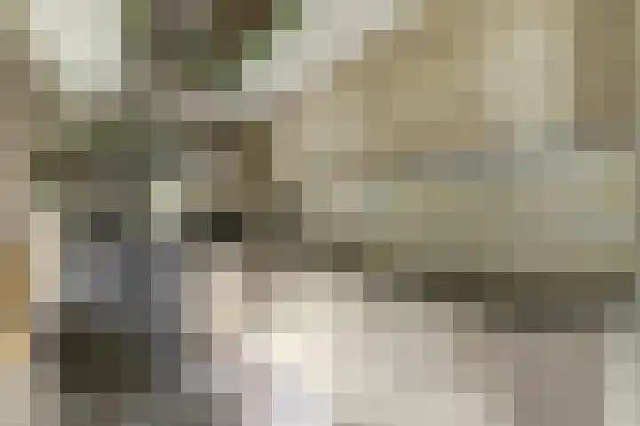 De Dreef 3 B013 Opmeer thumbnail 13