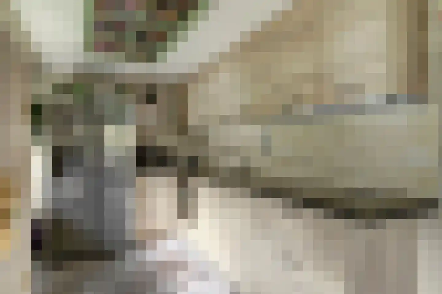 De Dreef 3 B013 Opmeer thumbnail 13
