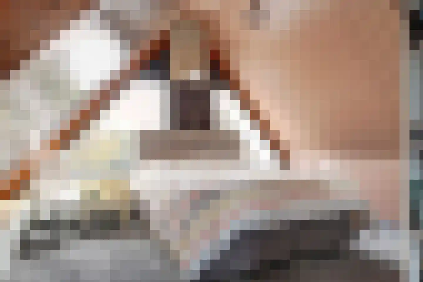 De Dreef 3 B013 Opmeer thumbnail 14