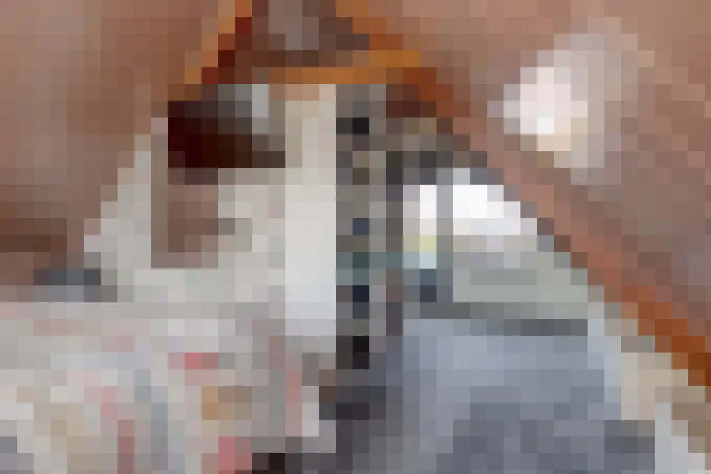 De Dreef 3 B013 Opmeer thumbnail 15