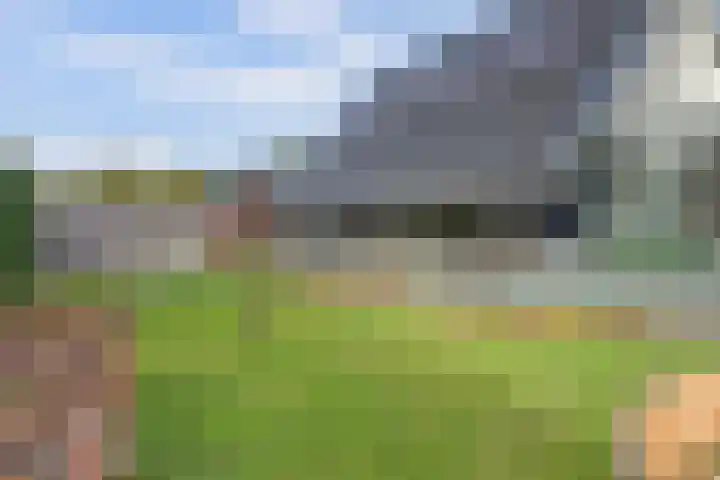 De Dreef 3 B013 Opmeer thumbnail 22