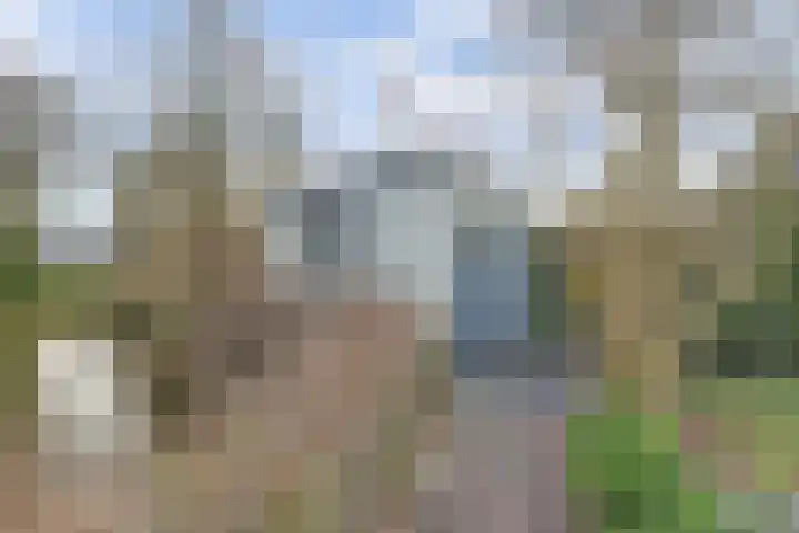De Dreef 3 B013 Opmeer thumbnail 30