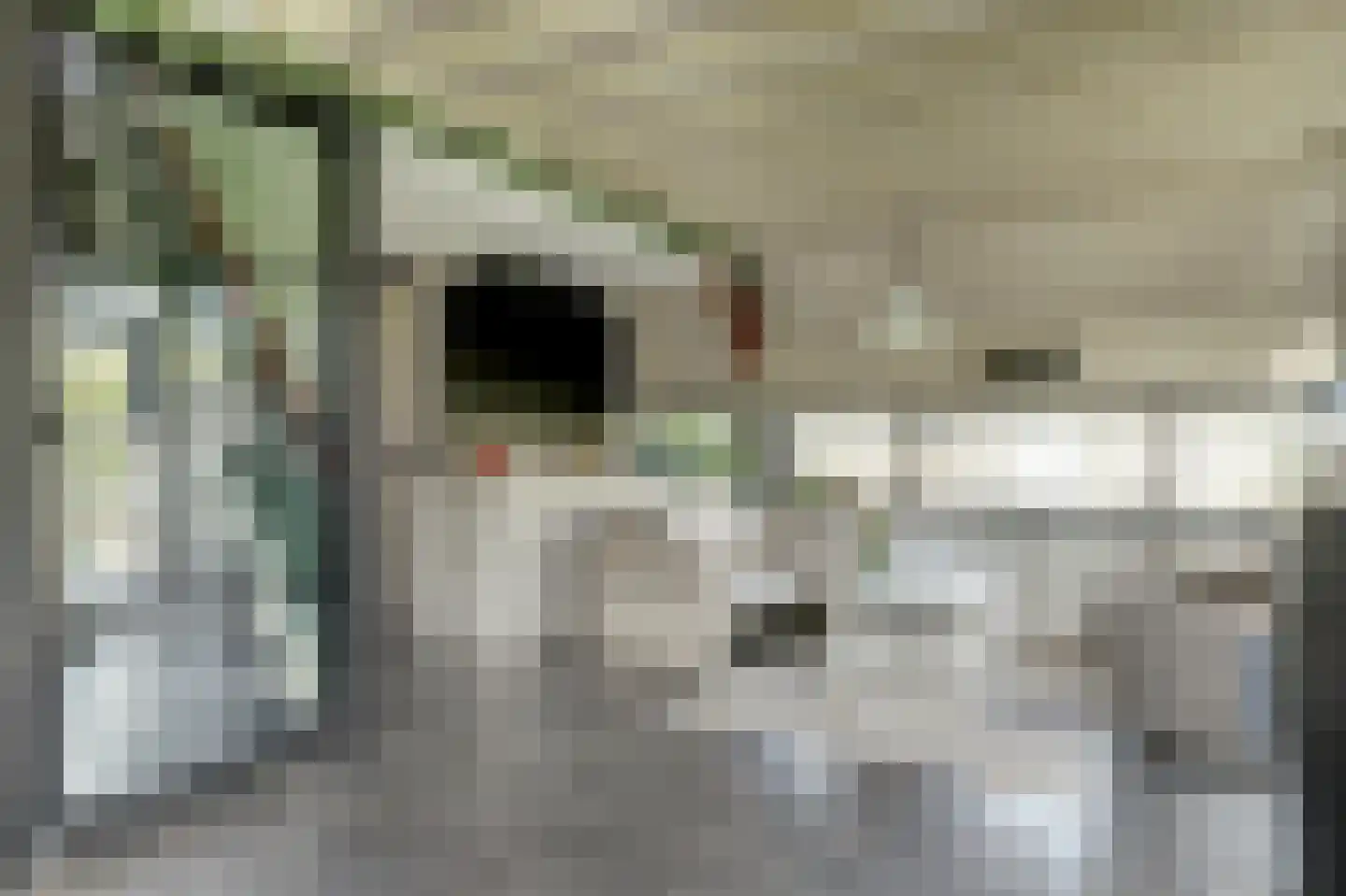 De Dreef 3 B013 Opmeer thumbnail 9