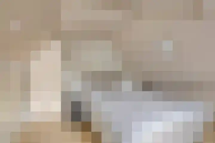 De Dreef 3 B018 Opmeer thumbnail 13