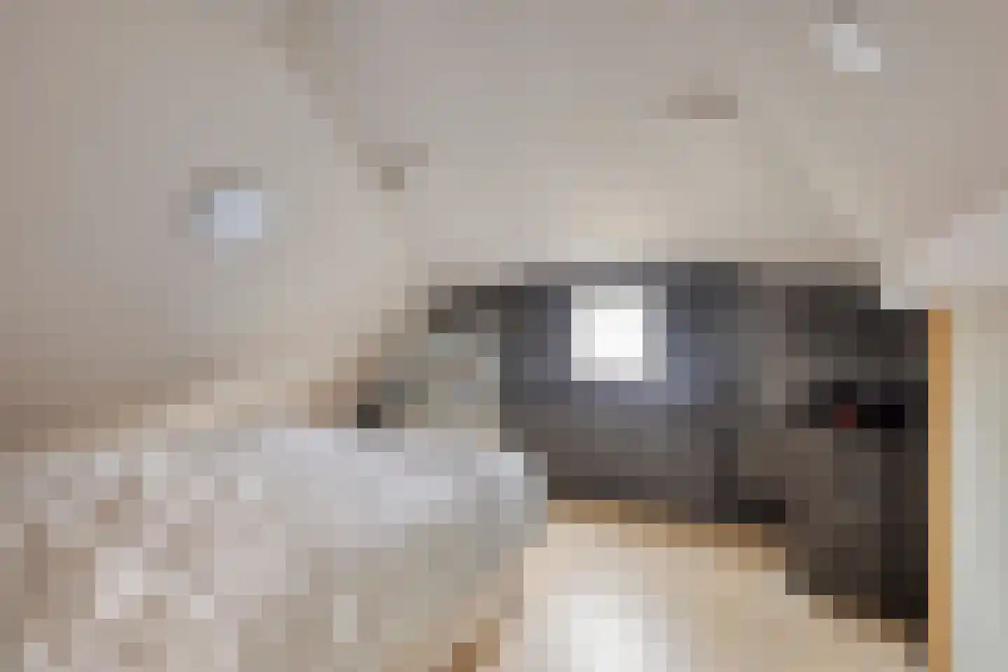 De Dreef 3 B018 Opmeer thumbnail 14