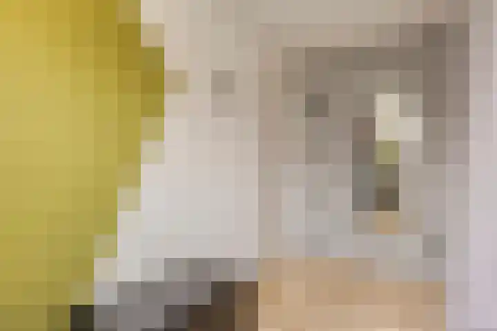 De Dreef 3 B018 Opmeer thumbnail 16