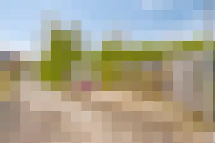 De Dreef 3 B018 Opmeer thumbnail 23