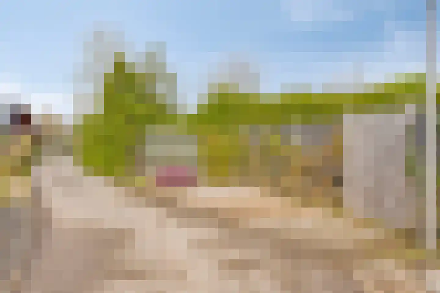 De Dreef 3 B018 Opmeer thumbnail 23