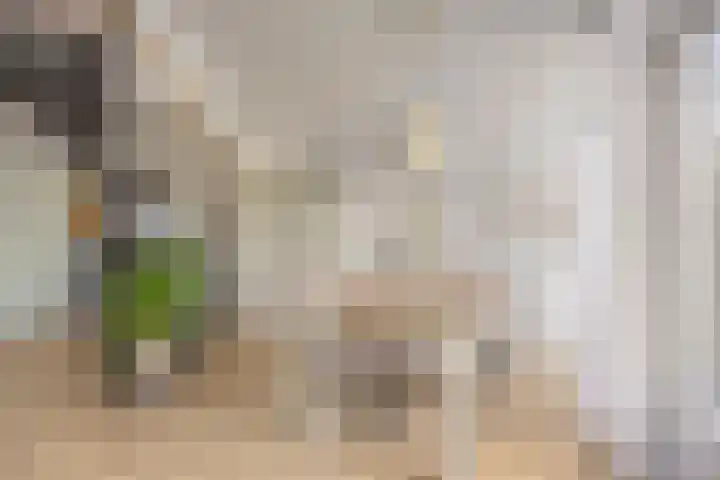 De Dreef 3 B018 Opmeer thumbnail 7