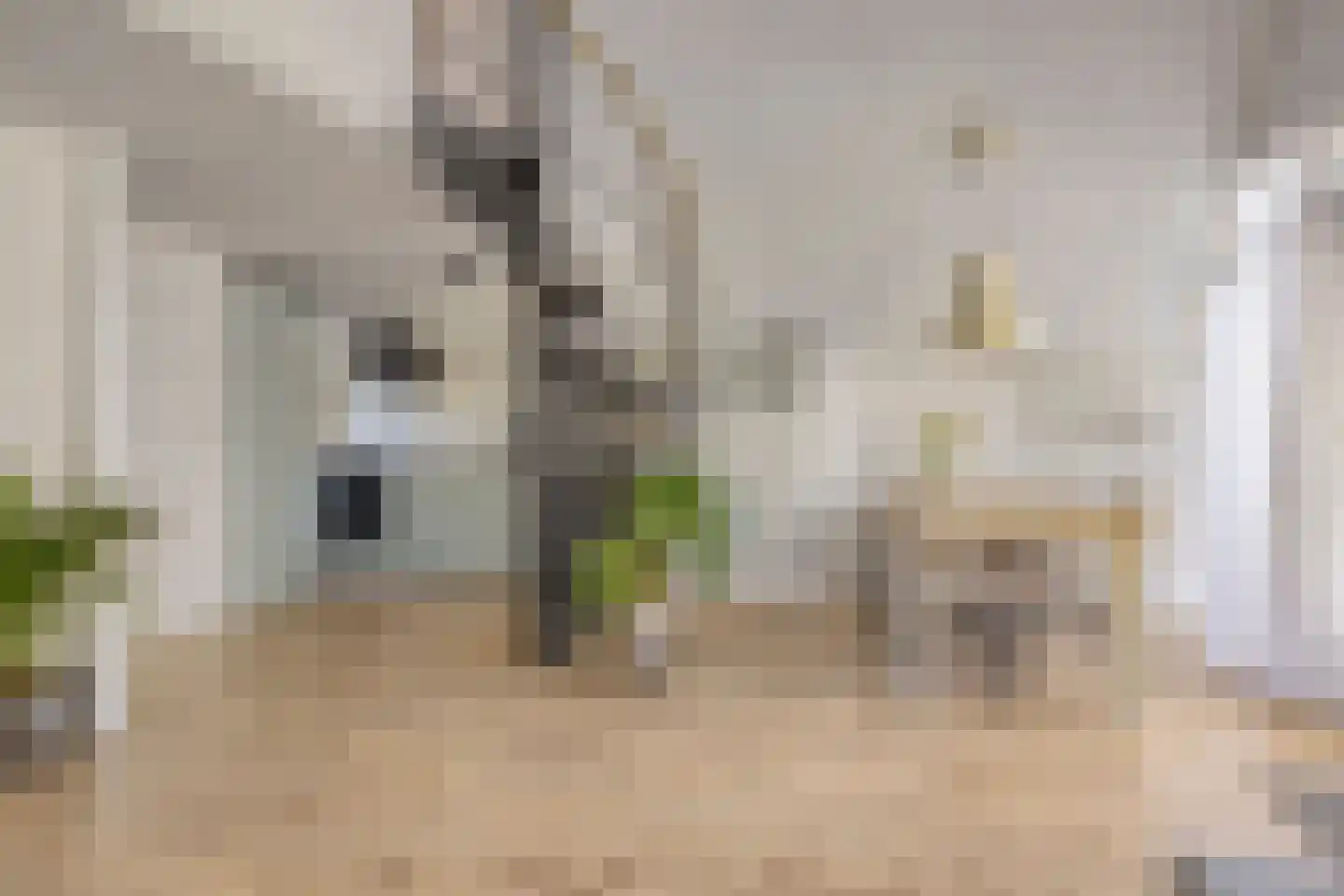De Dreef 3 B018 Opmeer thumbnail 8