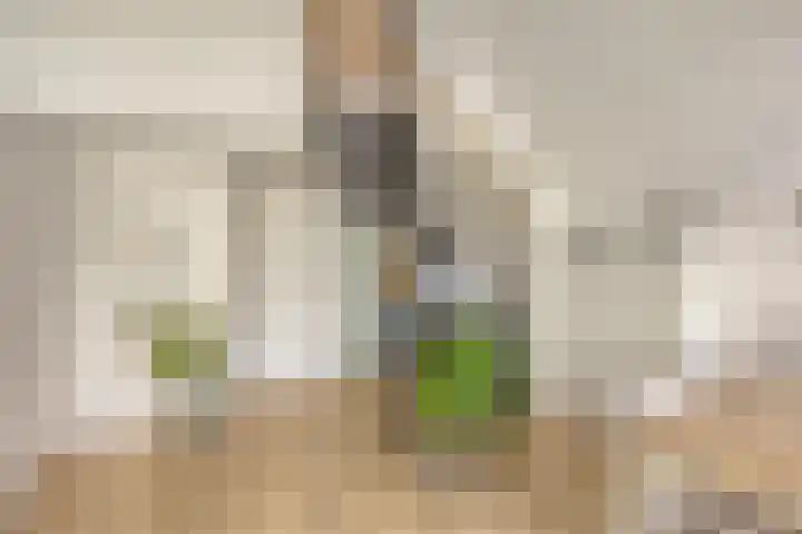 De Dreef 3 B018 Opmeer thumbnail 9