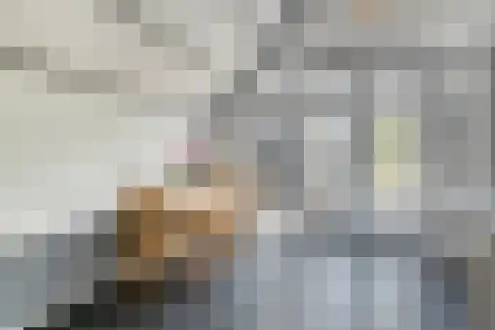 De Dreef 3 B030 Opmeer thumbnail 11