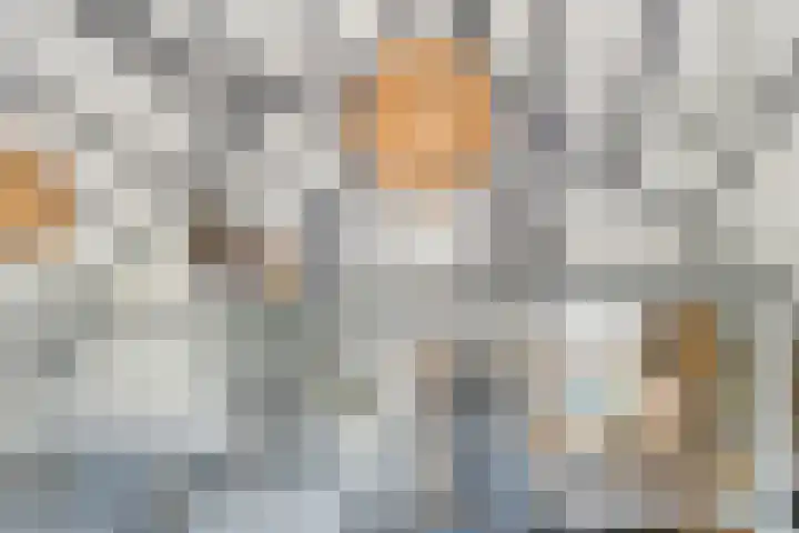 De Dreef 3 B030 Opmeer thumbnail 12