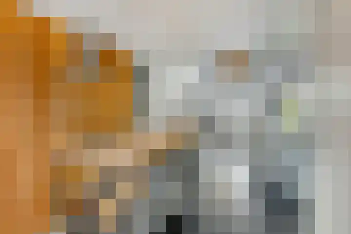 De Dreef 3 B030 Opmeer thumbnail 14