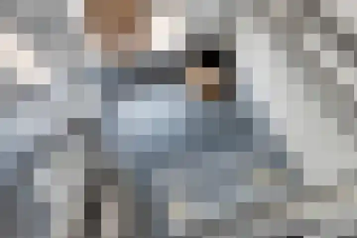De Dreef 3 B030 Opmeer thumbnail 18