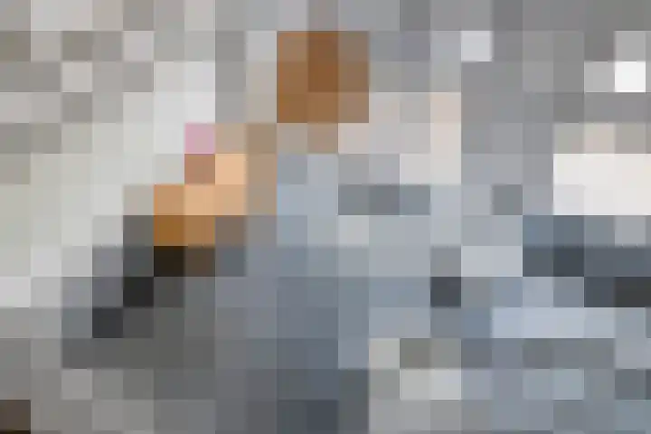 De Dreef 3 B030 Opmeer thumbnail 19
