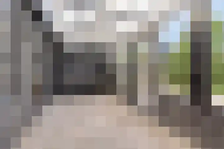 De Dreef 3 B030 Opmeer thumbnail 23