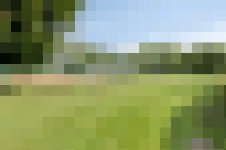 De Dreef 3 B030 Opmeer thumbnail 28