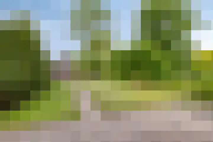 De Dreef 3 B030 Opmeer thumbnail 4