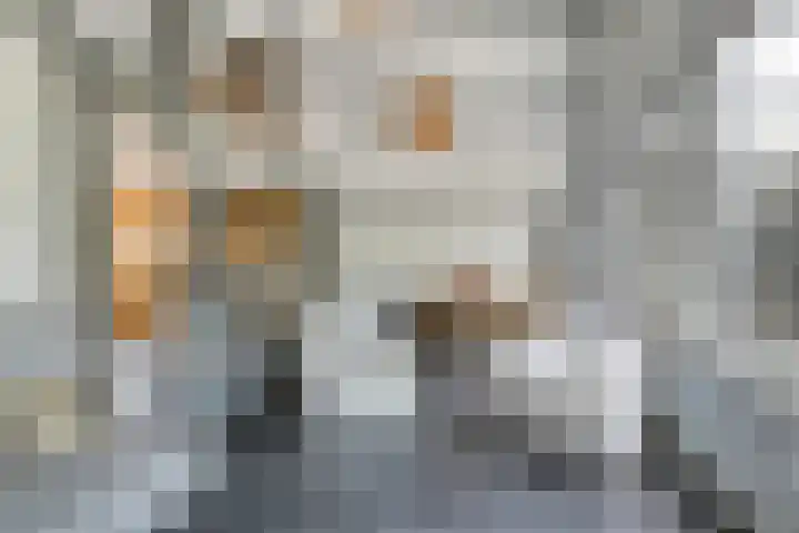 De Dreef 3 B030 Opmeer thumbnail 7
