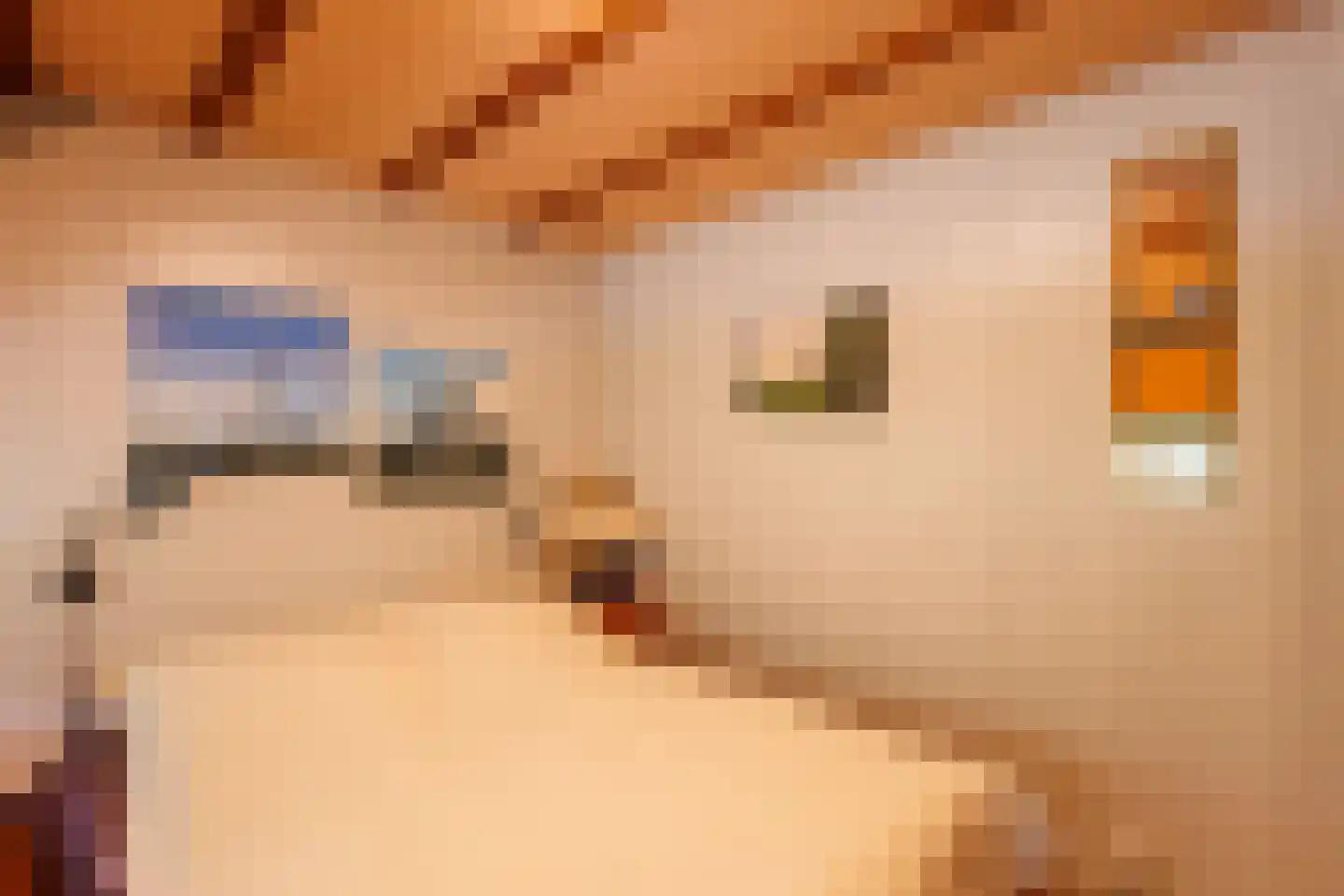 De Dreef 3 B048 Opmeer thumbnail 16