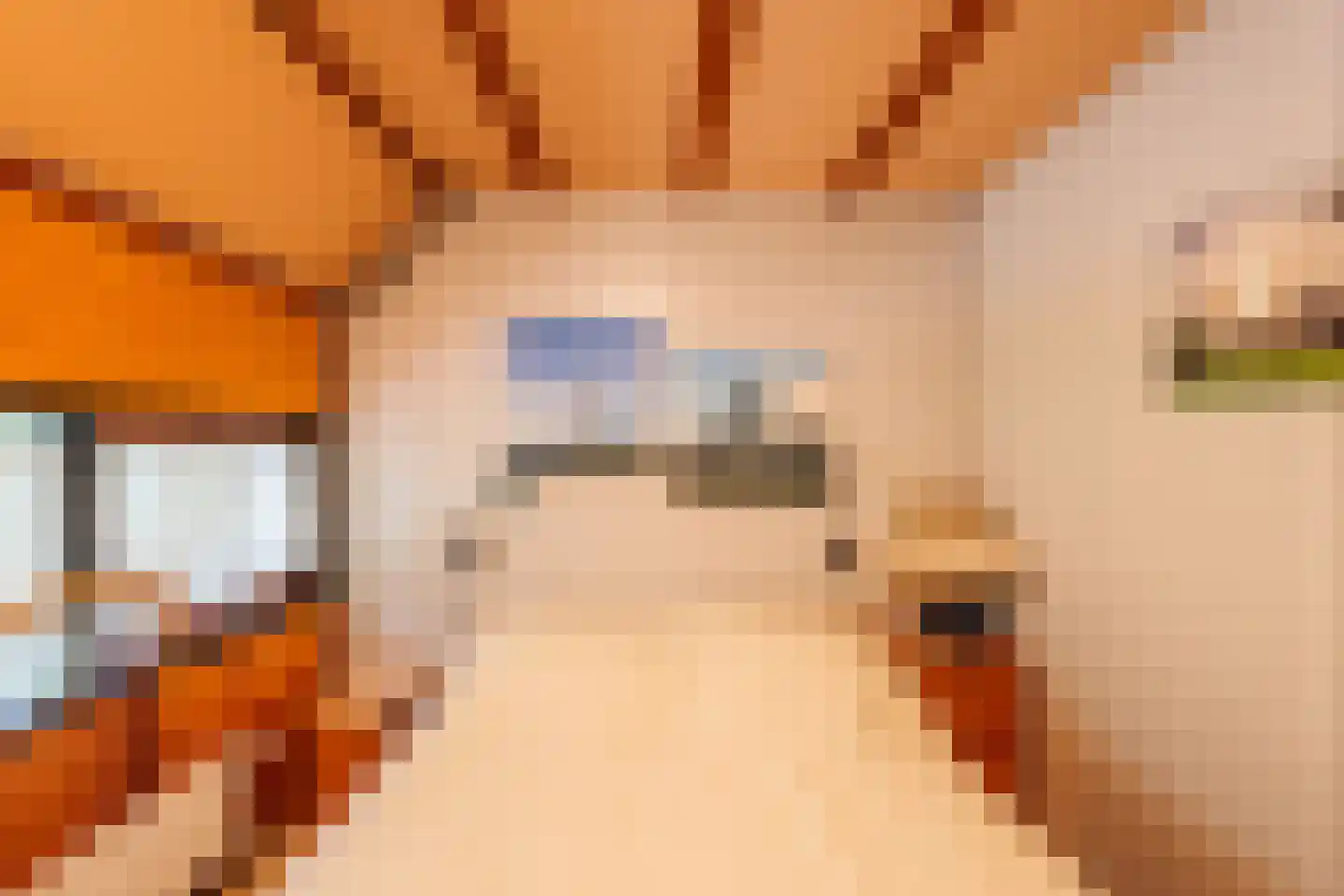De Dreef 3 B048 Opmeer thumbnail 17