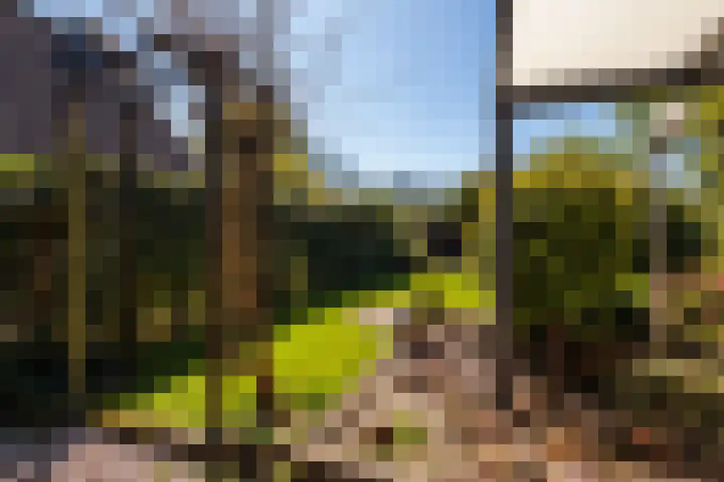 De Dreef 3 B048 Opmeer thumbnail 27