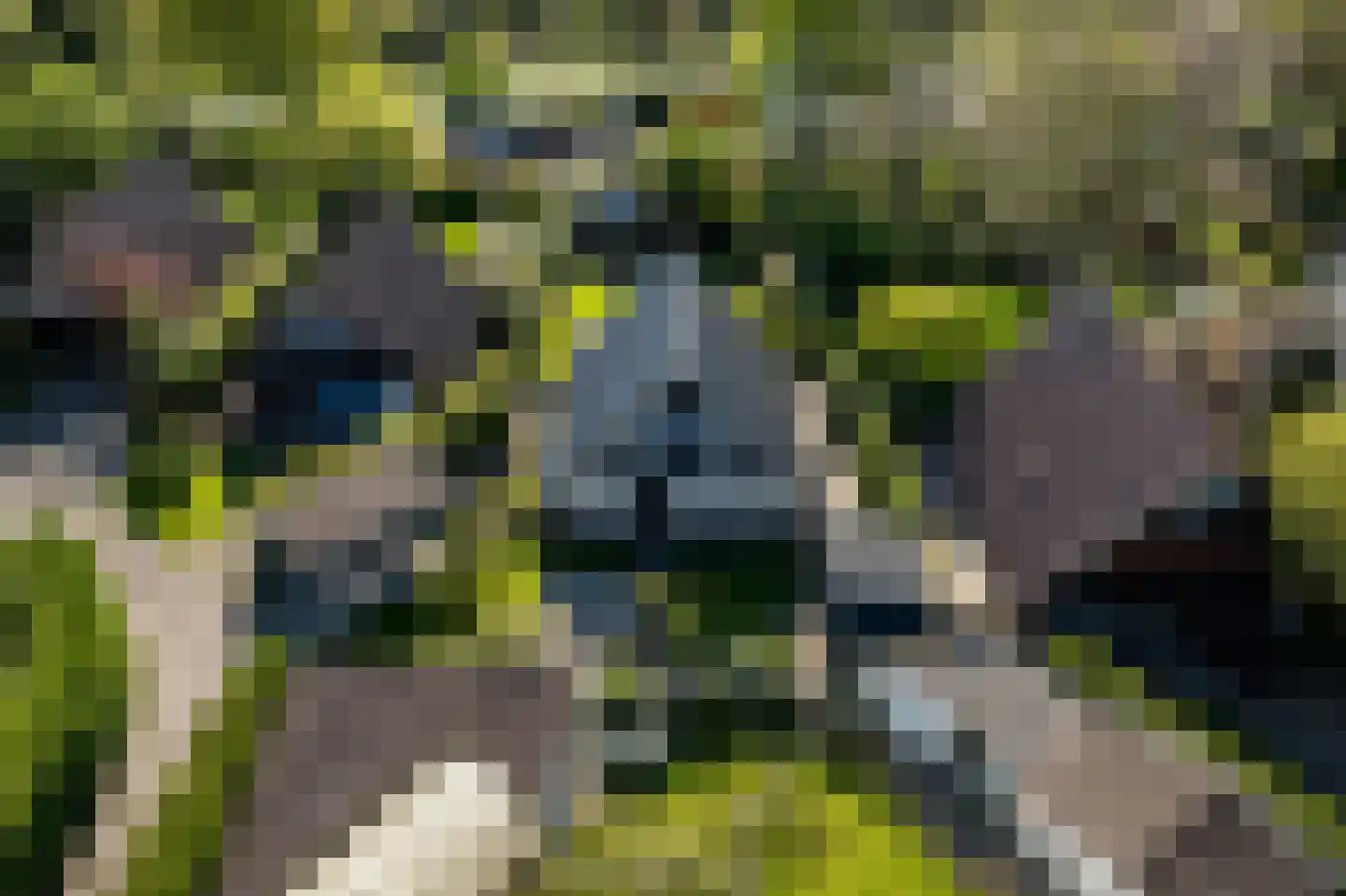 De Dreef 3 B048 Opmeer thumbnail 39