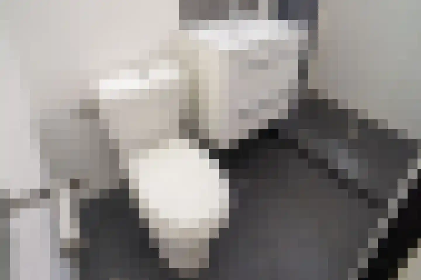De Dreef 3 B053 Opmeer thumbnail 10
