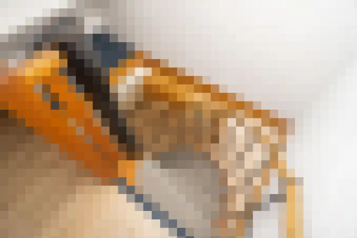 De Dreef 3 B053 Opmeer thumbnail 14