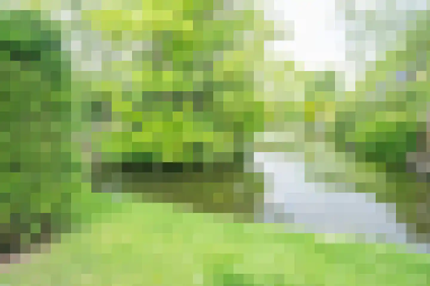 De Dreef 3 B053 Opmeer thumbnail 25