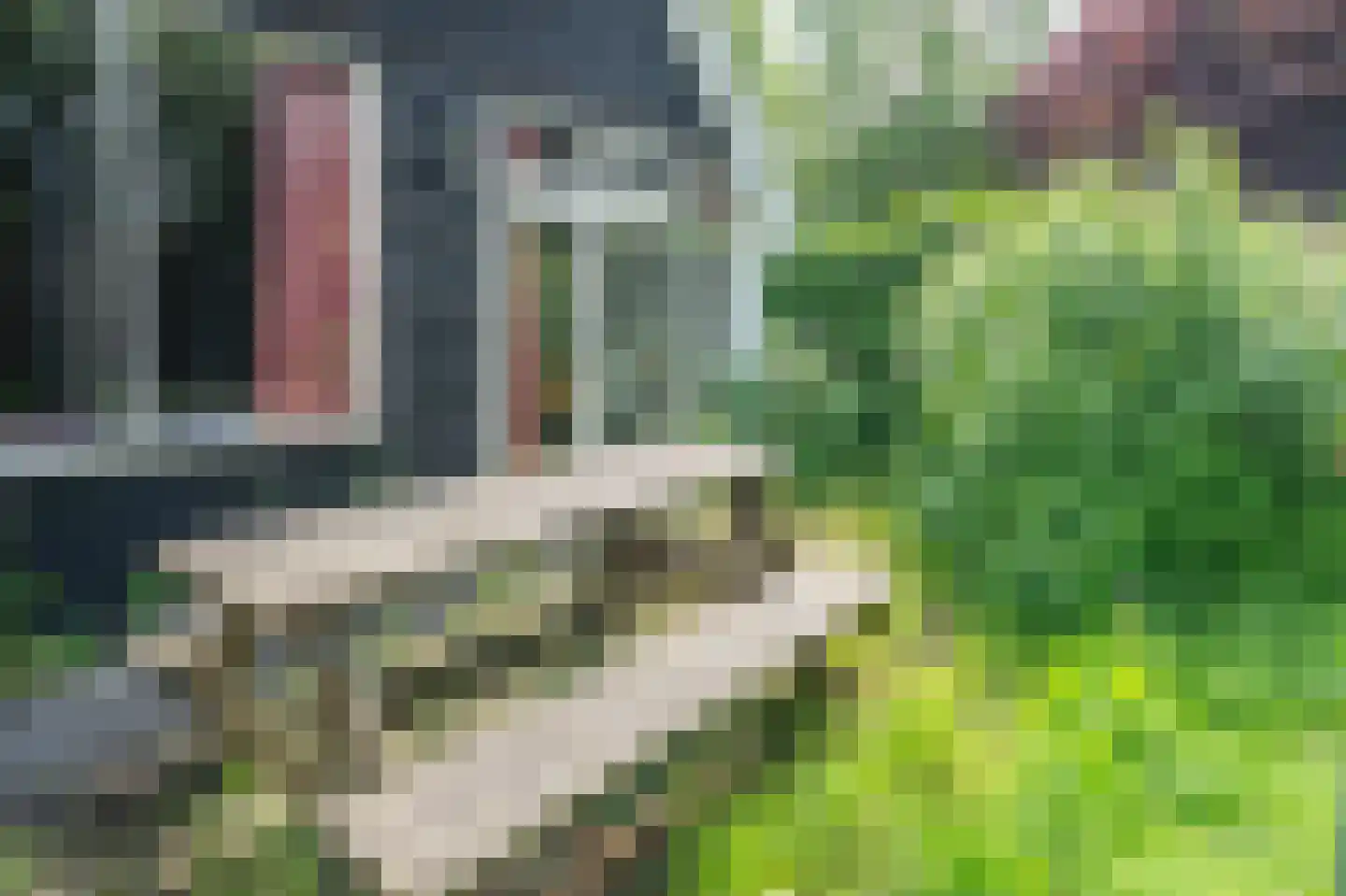 De Dreef 3 B053 Opmeer thumbnail 29